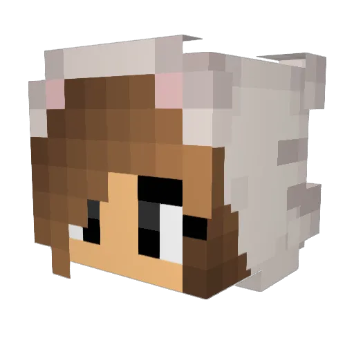 FlyingDino21 Minecraft avatar head, 3D render