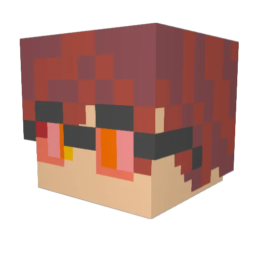 FlyingDonut17 Minecraft avatar head, 3D render