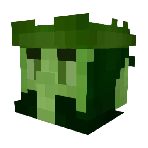 FlyingDutchguy1 Minecraft avatar head, 3D render