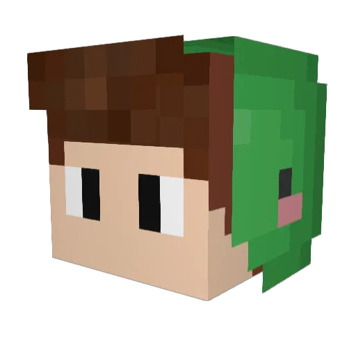 FlyingEntee Minecraft avatar head, 3D render
