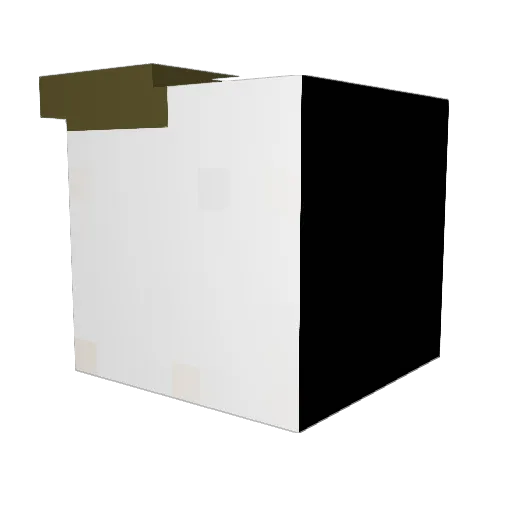 FlyingEpicDuck Minecraft avatar head, 3D render