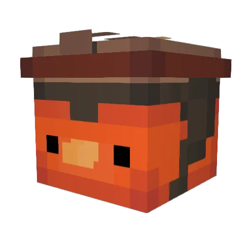 FlyingFish6969 Minecraft avatar head, 3D render