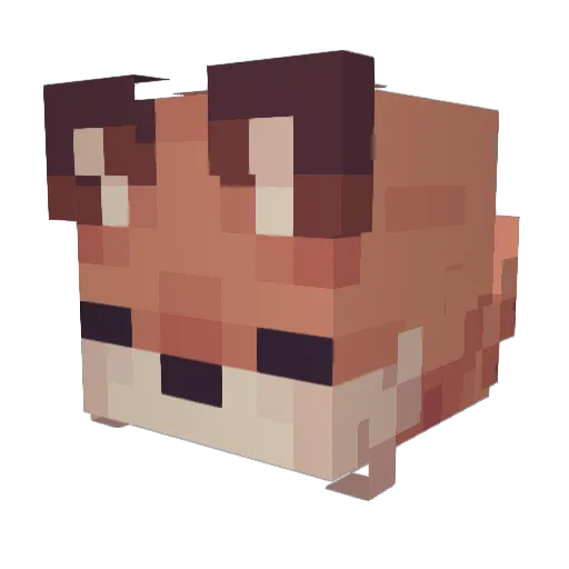 FlyingFox_81 Minecraft avatar head, 3D render