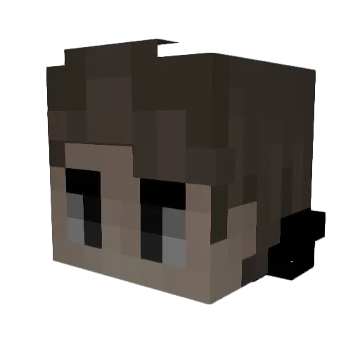 FlyingInSpace777 Minecraft avatar head, 3D render