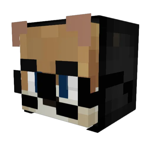 FlyingLeoo Minecraft avatar head, 3D render