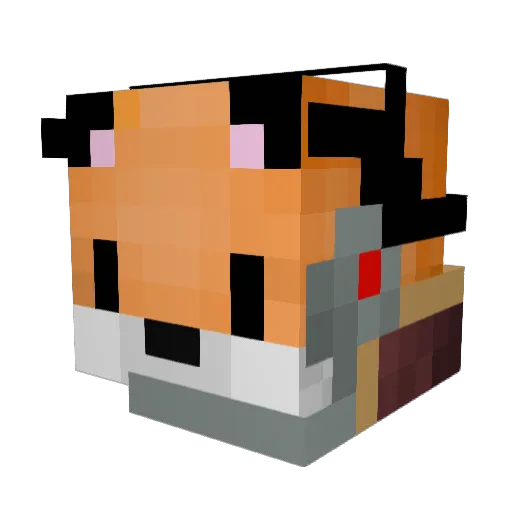 FlyingLochnessPI Minecraft avatar head, 3D render