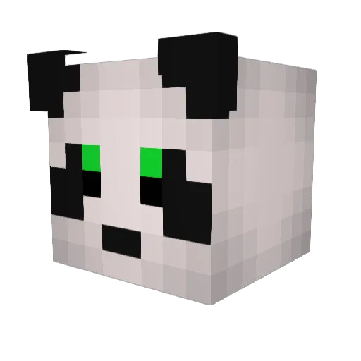 FlyingRD Minecraft avatar head, 3D render