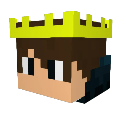 FlyingRacoon92 Minecraft avatar head, 3D render