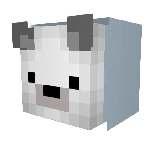 FlyingSchnurra Minecraft avatar head, 3D render