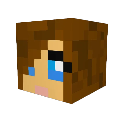 FlyingSloths69 Minecraft avatar head, 3D render