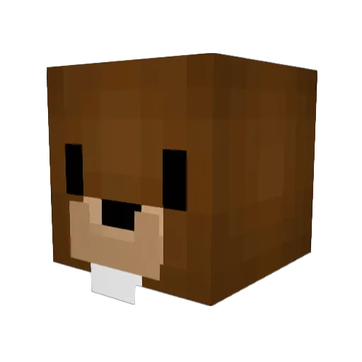 FlyingSquibble Minecraft avatar head, 3D render