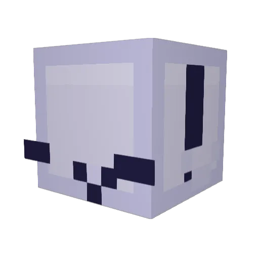 FlyingToaster Minecraft avatar head, 3D render