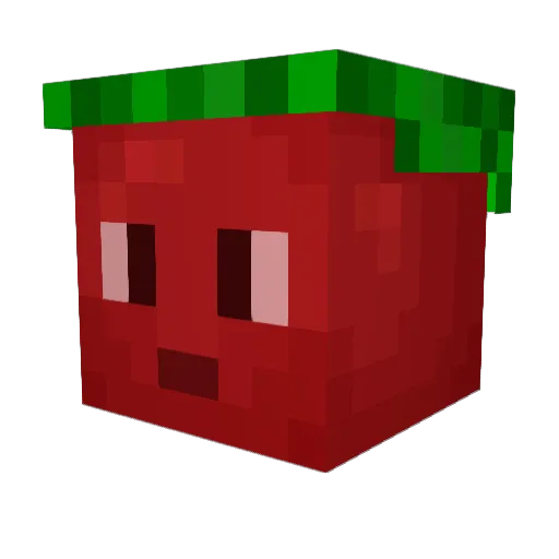 FlyingTomato46 Minecraft avatar head, 3D render