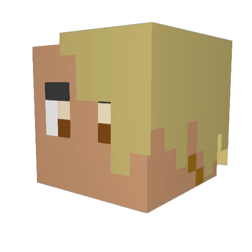 FlyingTurtle939 Minecraft avatar head, 3D render