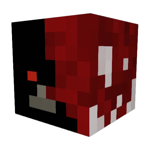 FlyingWalrus69 Minecraft avatar head, 3D render