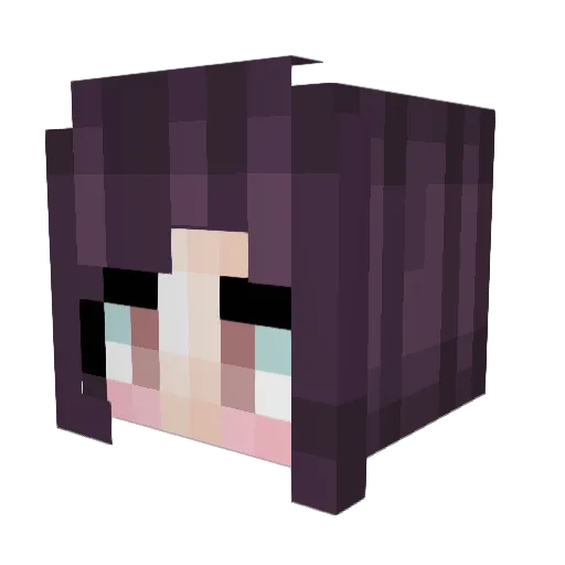 FlyingYuki Minecraft avatar head, 3D render