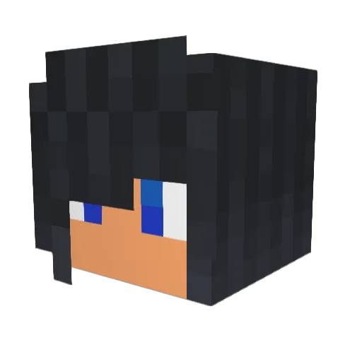 Flying_A_Tiger Minecraft avatar head, 3D render