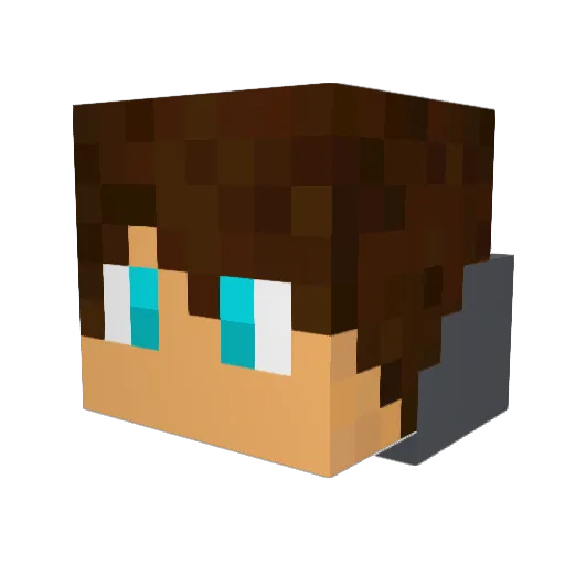 Flying_Acorn Minecraft avatar head, 3D render