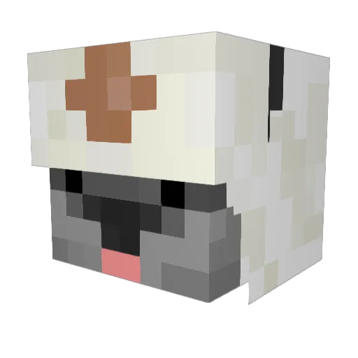 Flying_Byson Minecraft avatar head, 3D render