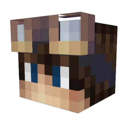 Flying_Fax Minecraft avatar head, 3D render