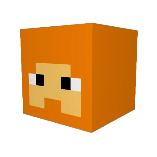 Flying_Fish11 Minecraft avatar head, 3D render