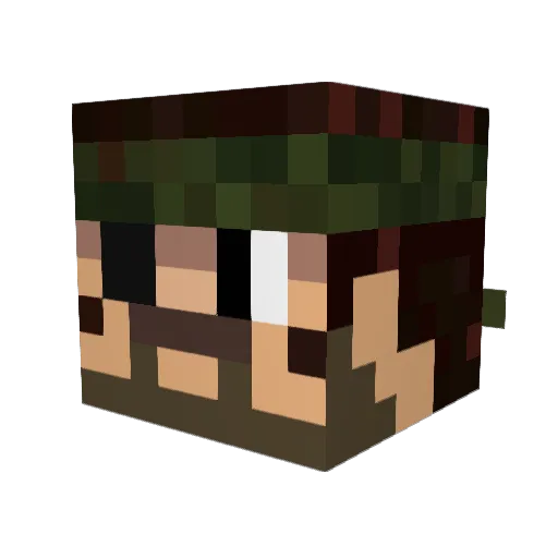 Flying_Hawaiian Minecraft avatar head, 3D render