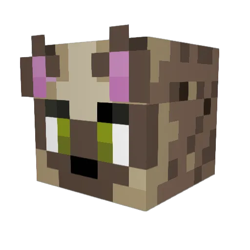 Flying_Hyena Minecraft avatar head, 3D render