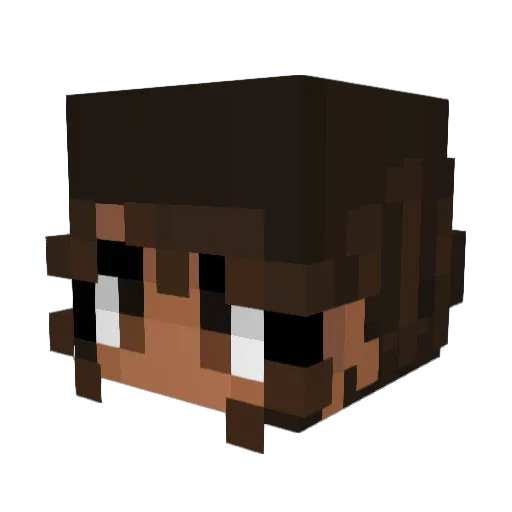 Flyingpiglet66 Minecraft avatar head, 3D render
