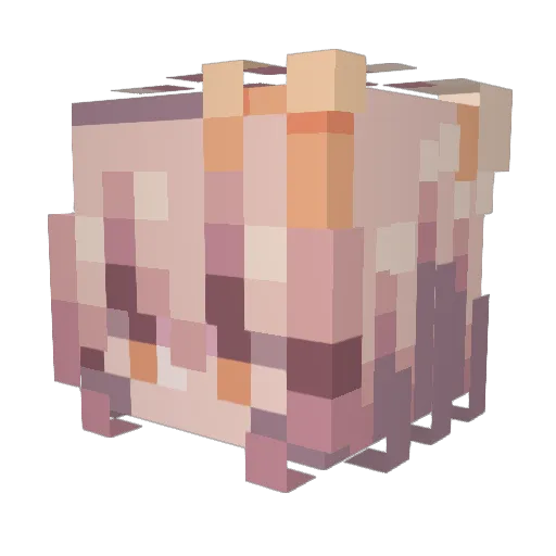 Flylikedark Minecraft avatar head, 3D render