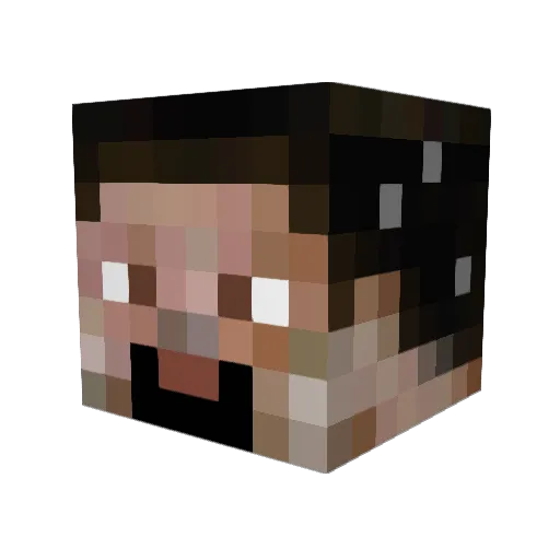 Flyndresnik Minecraft avatar head, 3D render