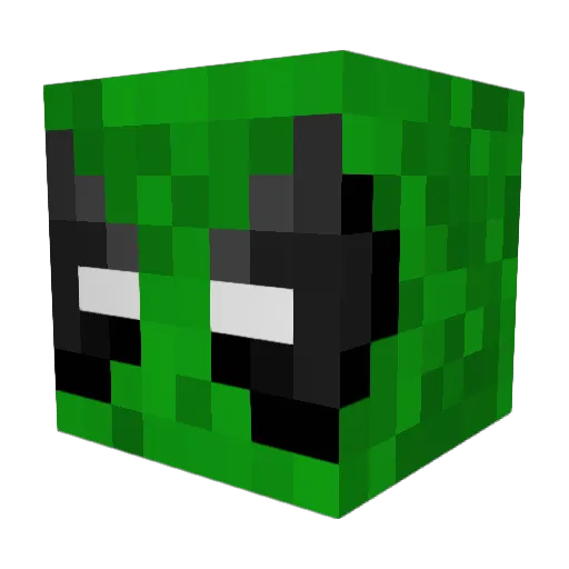 Flynn30 Minecraft avatar head, 3D render