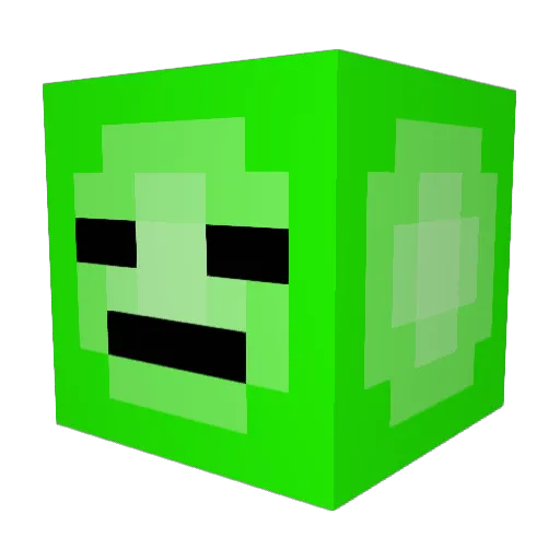 Flynn55 Minecraft avatar head, 3D render