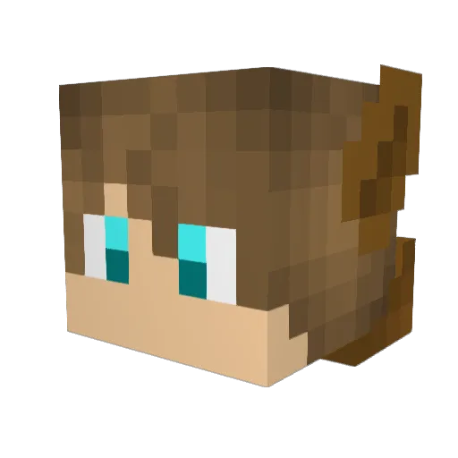 FlynnHunter1 Minecraft avatar head, 3D render