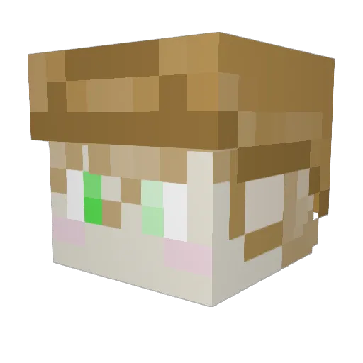 FlynnParker Minecraft avatar head, 3D render