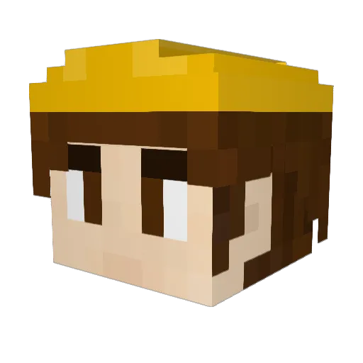 FlynnRoad Minecraft avatar head, 3D render