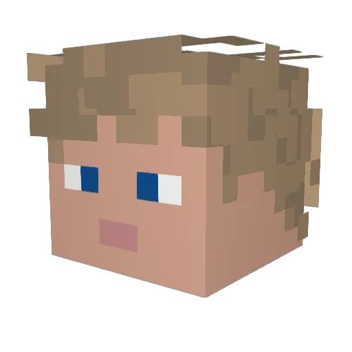 FlynnTM Minecraft avatar head, 3D render