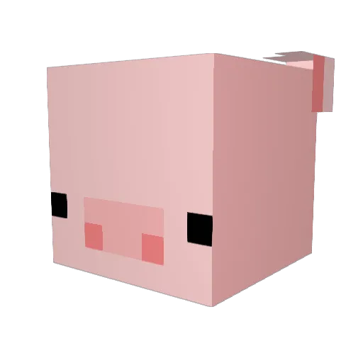 FlynnTheFrog Minecraft avatar head, 3D render