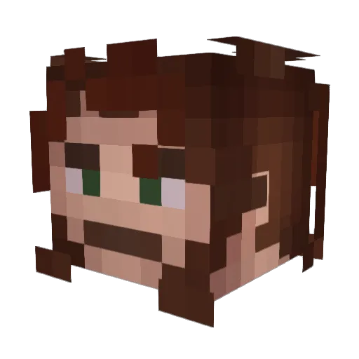 Flynn_11 Minecraft avatar head, 3D render