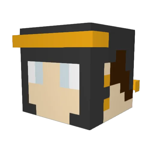 Flynnbo_52 Minecraft avatar head, 3D render