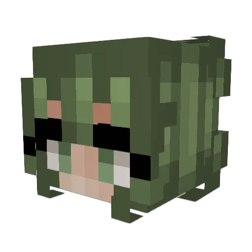 Flynneware Minecraft avatar head, 3D render