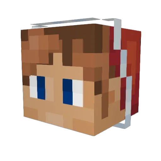 Flynnland Minecraft avatar head, 3D render