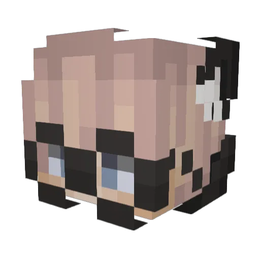 Flyoutube Minecraft avatar head, 3D render