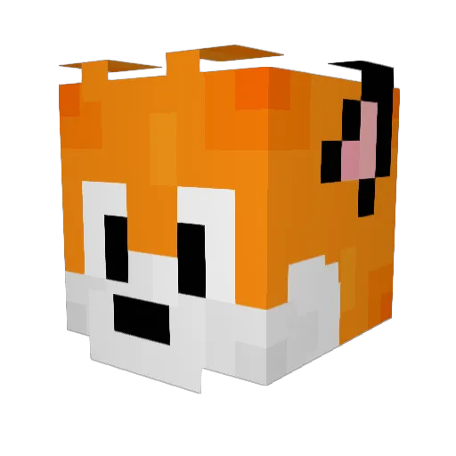 Flypig0984 Minecraft avatar head, 3D render