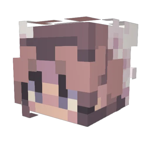Flyqueen20 Minecraft avatar head, 3D render