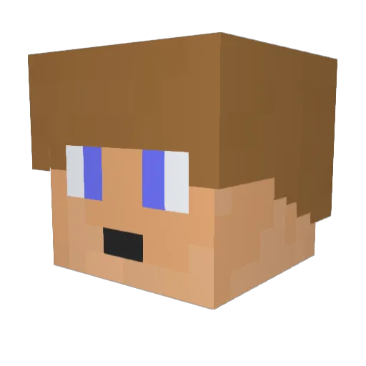 Flyside Minecraft avatar head, 3D render