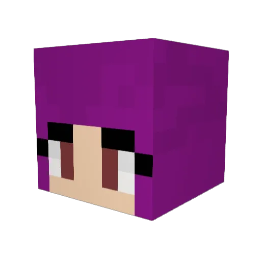 Flyspamonae Minecraft avatar head, 3D render