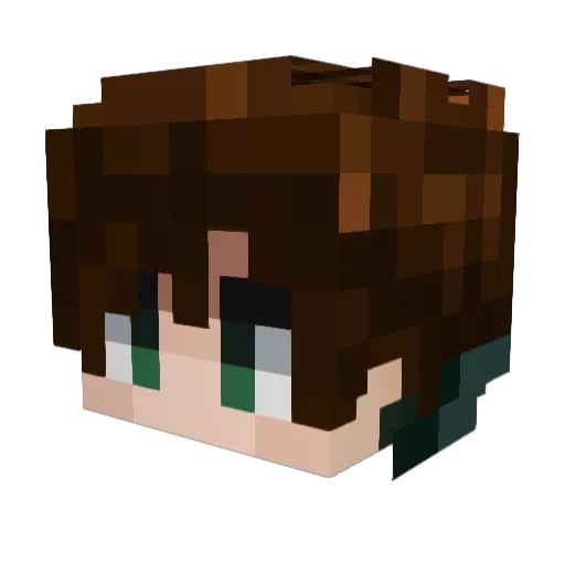 Flyss_ Minecraft avatar head, 3D render