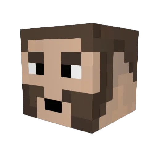 Flystacke Minecraft avatar head, 3D render