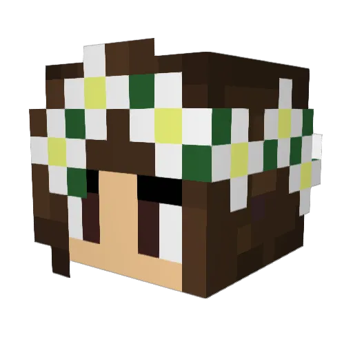 FlytoPeru Minecraft avatar head, 3D render