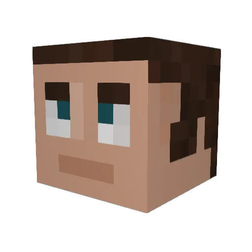 Flyx Minecraft avatar head, 3D render